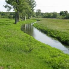 Schaaleniederung zwischen Zahrensdorf und Blücher