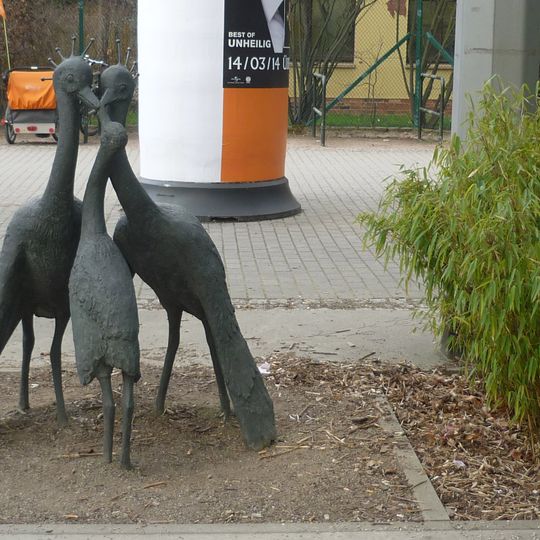 Kraniche am Zoo Dresden