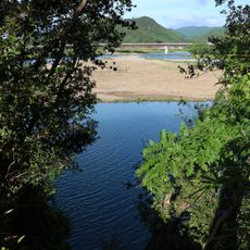 Habitat of Tonda river giant mottle eel