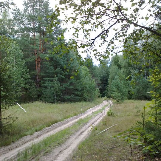 Chvastovičskij rajon