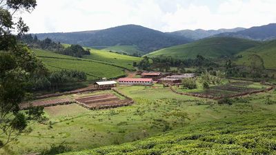 Widok panoramiczny 3