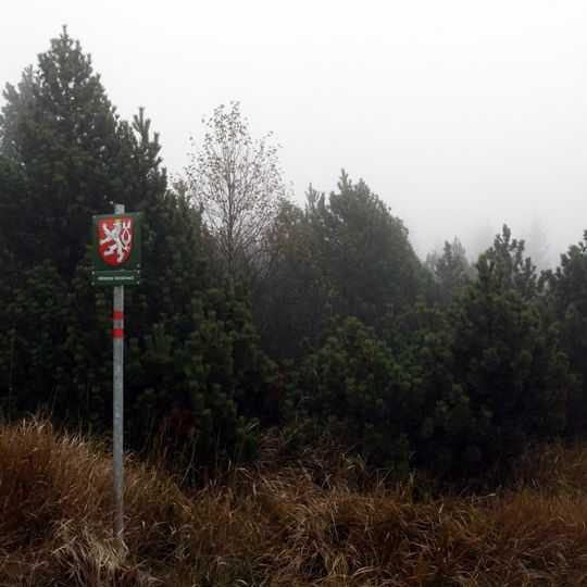 Rašeliniště U jezera - Cínovecké rašeliniště