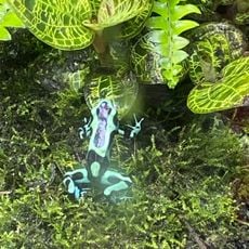 Vivarium