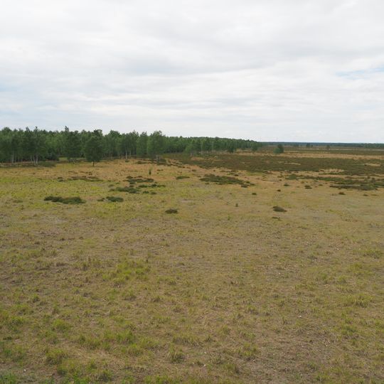 Gohrischheide und Elbniederterrasse Zeithain