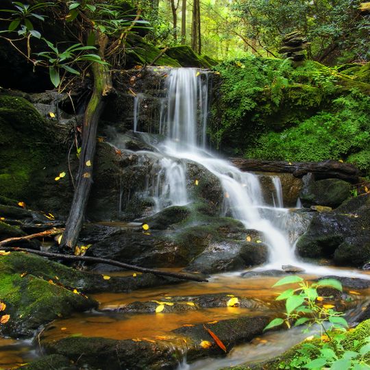 Municipio de Lower Chanceford