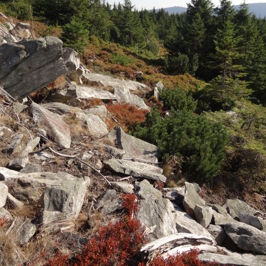 Klečoviště na Smrku