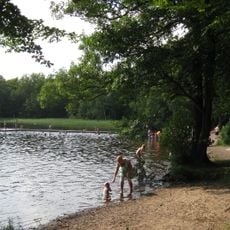 Bosarpasjön