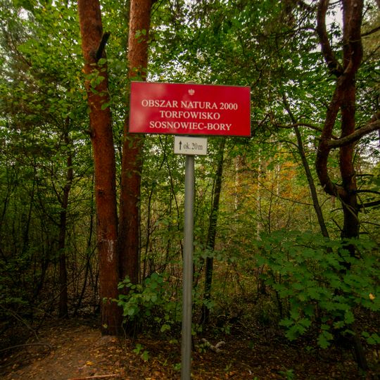 Torfowisko Bory