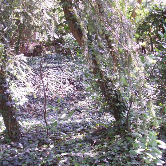 Terrein waarin resten van een grafheuvel