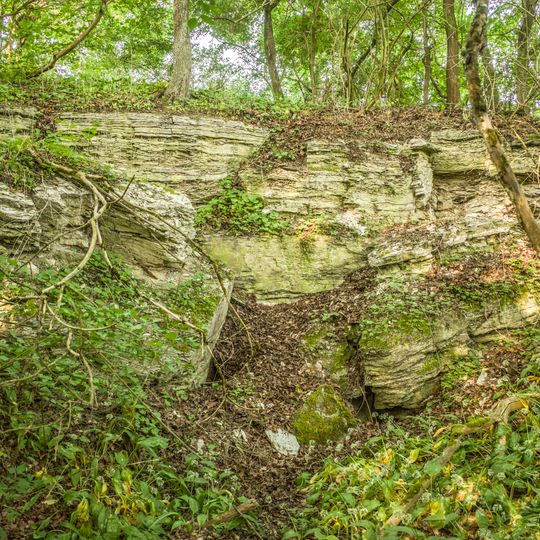 Ponordoline Hollergrube NNW von Sulzheim