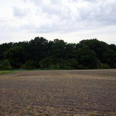 Burgwall Neu-Kentzlin