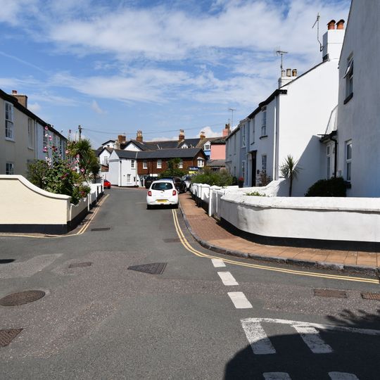 Almond Tree  River Peep