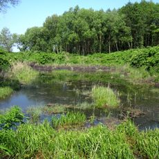 Turijski sources, Movchaniv