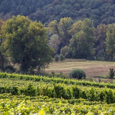 Rechtes Mainufer bei Sommerach