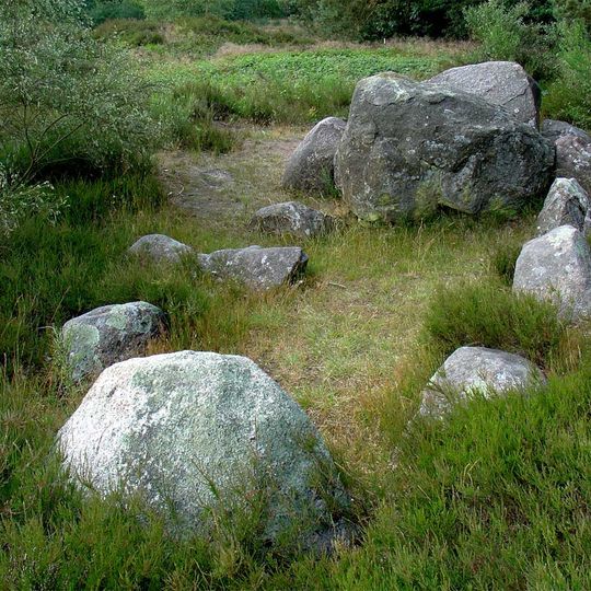 Hunebed D38 in Boswachterij Emmen