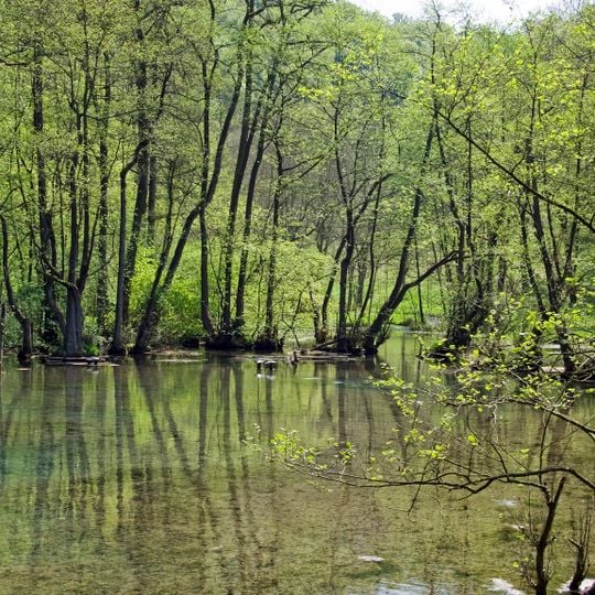 Almequellen