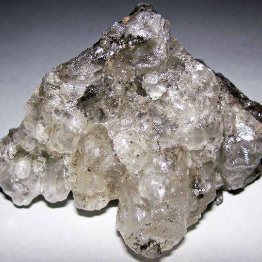 Wellington Formation