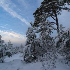 Lindi Nature Reserve