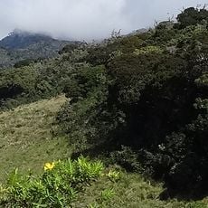 Parc national de Horton Plains