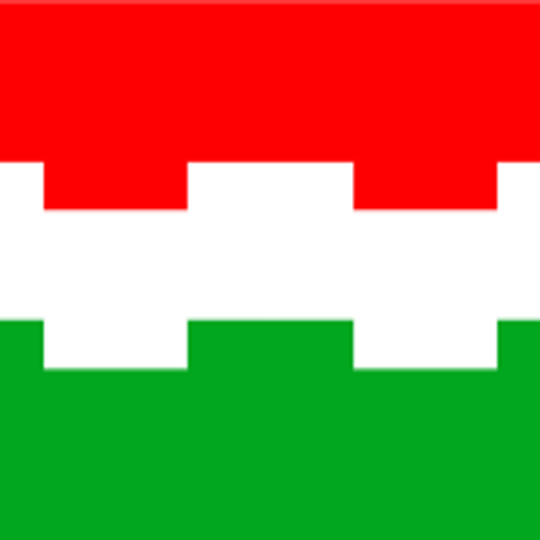 Šarkaŭščyna District