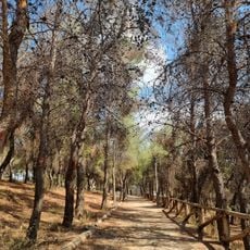 Petroupoli Botanical Garden