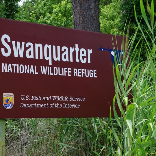 Swanquarter National Wildlife Refuge