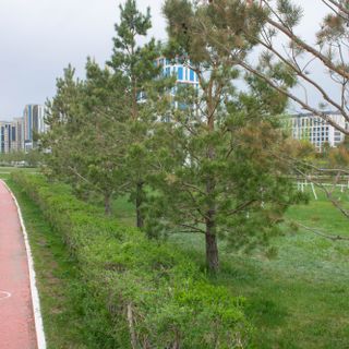 Astana botanical garden
