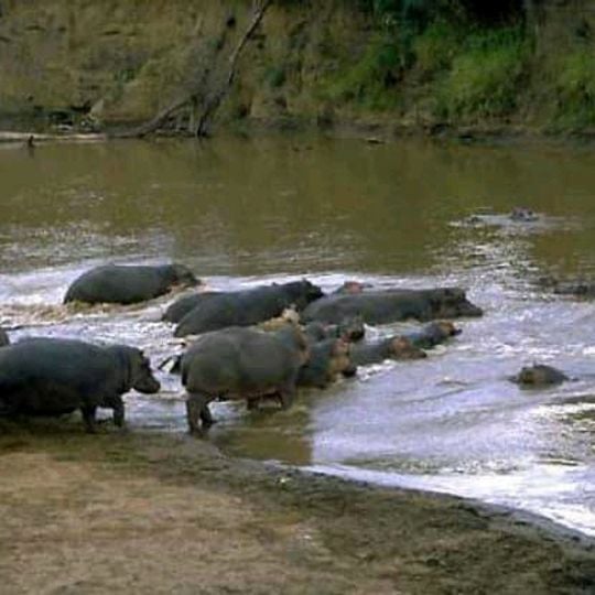 Parco nazionale del Badiar