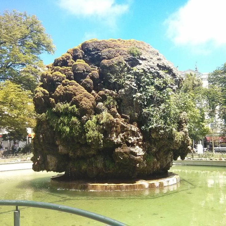 Planchon Garden