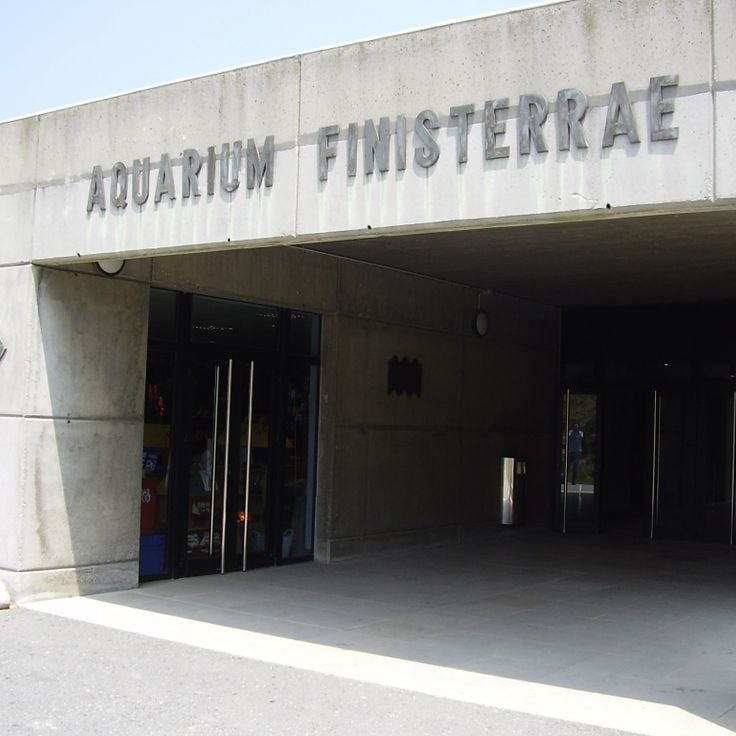 Aquarium Finisterrae