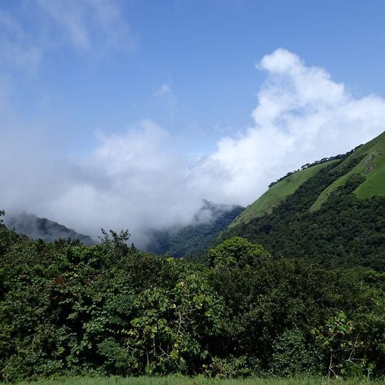 Parco nazionale di Cross River