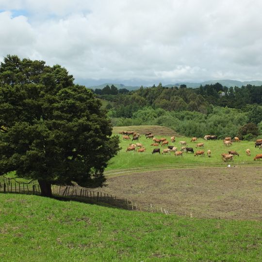 Makirikiri Scenic Reserve