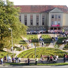 Rosskastanie am Kulturhaus Plessa
