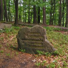 Ritterstein 252 "Ringwall-Bergfestung"