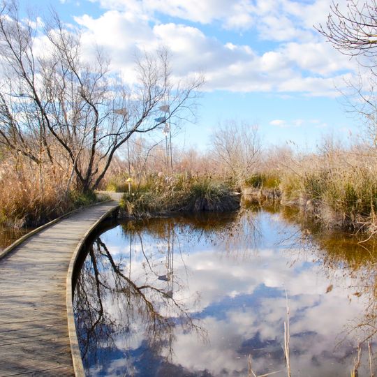 Réserve naturelle nationale des marais du Vigueirat