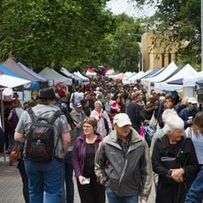 Salamanca Market