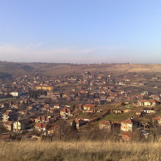 Svishtov Municipality