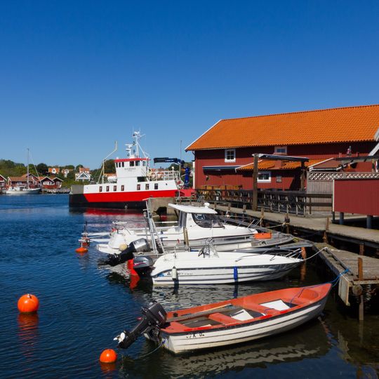 Sillsalteriet Sibirien, Sydkoster