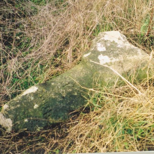 Milestone, Fawler Road; Cornbury Park, up hill from Finstock Station and 30m N of lay-by