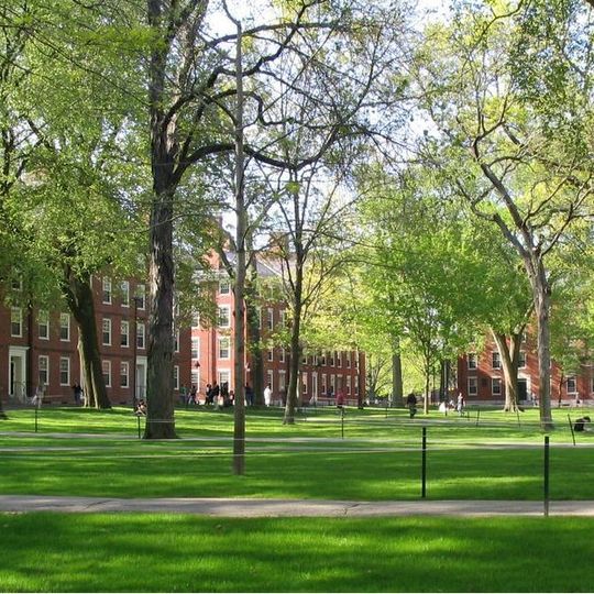 Harvard College
