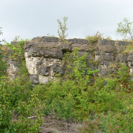Birzberg, Honigsack/Kappelberghang bei Fechingen