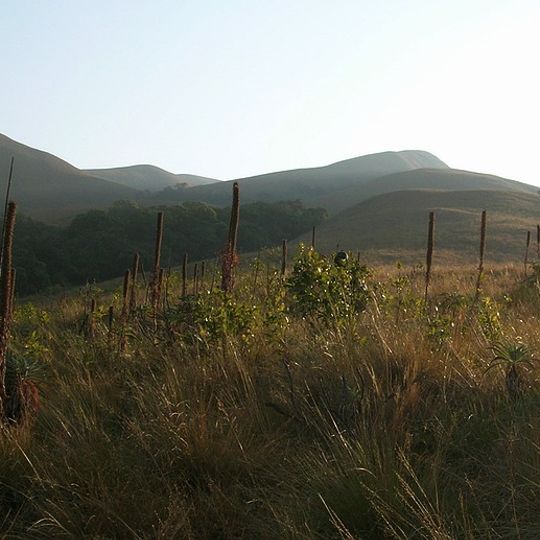 Parco nazionale di Grass Hills