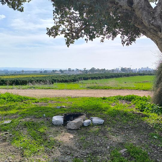 נוף לכל כיוון