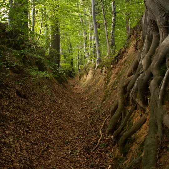 Nature reserve Barania Góra