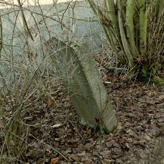 Pomníček obětem Květnové revoluce U trati na Jedlovci