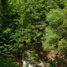 Ehemaliger Steinbruch im unteren Stubensandstein