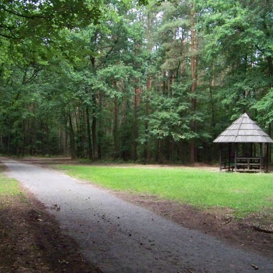 Vysokochvojenská plošina