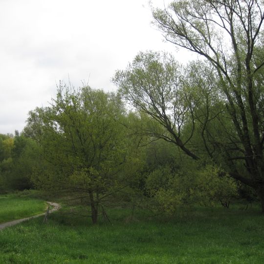 Tongrube Witterschlick