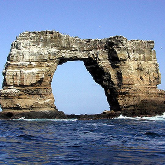 Darwin's Arch