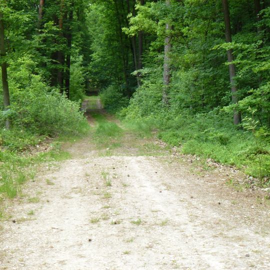 Rezerwat przyrody Molenda